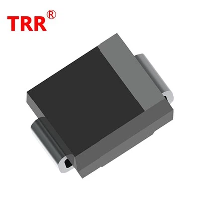 ایس ایس 310 ڈایڈڈ